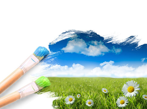 Wild daisies in the grass with a blue sky
