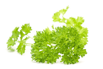 parsley