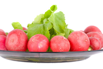 Radishes