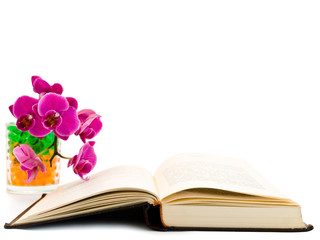 open book and  orchid