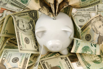 Savings Account