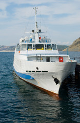 Naklejka premium Steamship on a mooring