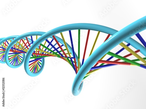 Wie Lang Ist Ein Dna Strang de.fotolia.com