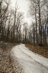 Fototapeta premium dusting