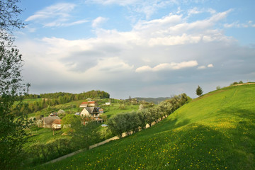 Landscape