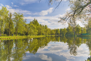 trees and clouds reflection in pond