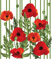 Fototapeta premium poppy seamless