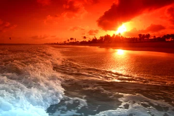 Door stickers Sea / sunset ocean sunrise