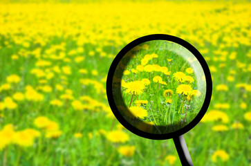 Exploring spring!