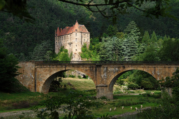 Obraz premium Gorges de la Loire