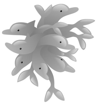agglomerato delfini