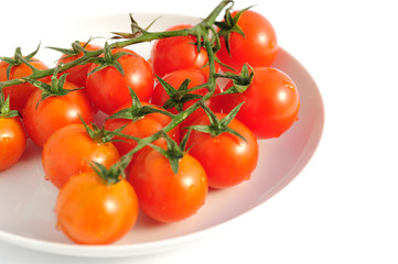 Pomodorini