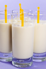 Soy Milk Series