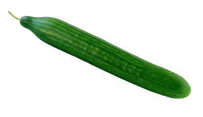 Cucumber