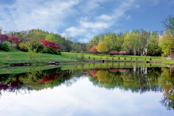 Fototapeta premium Park Pond