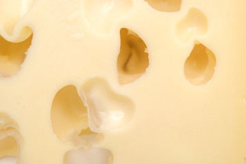cheese
