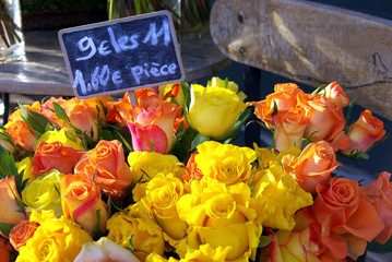 Roses bouquet