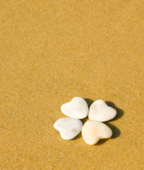 treffle de galets sur le sable