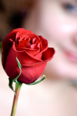 red rose and female