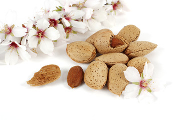 Almendras y flor