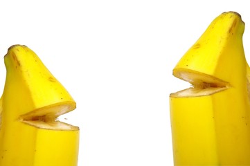 dialogue de fruit