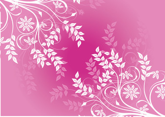 Fototapeta na wymiar floral rose bonbon