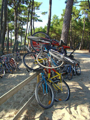 Fototapeta premium Vélos-04840