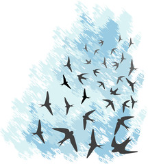 Vector illustration, blue sky with flying swallows