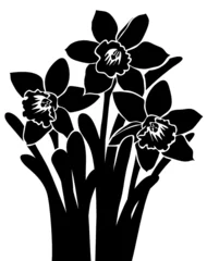 Papier Peint photo autocollant Fleurs noir et blanc narcisse walltatoo