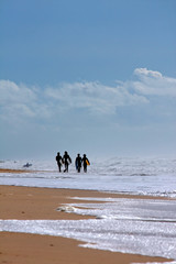 Group of surfers