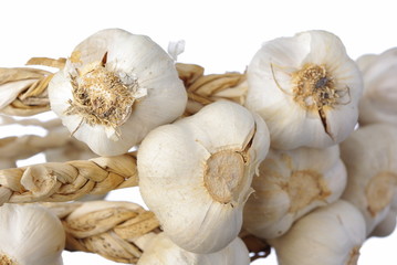 Garlic isolated on white