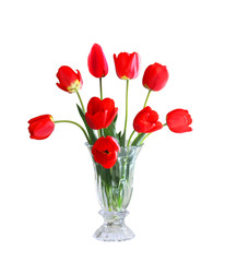 Tulips in the Vase