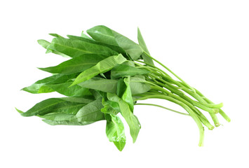 Water spinach ong choy