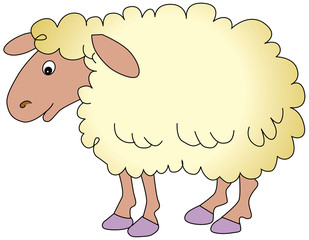 Sheep