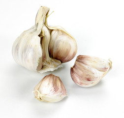 French Garlic Bulb with cloves of garlic
