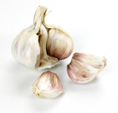 French Garlic Bulb with cloves of garlic