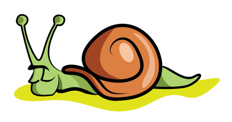 Slow Snail Resting for the Day