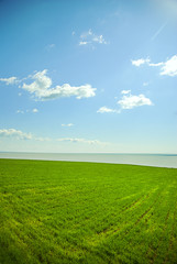 Green landscape and sea