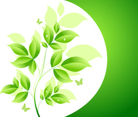 Floral background  vector