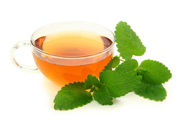 Lemon balm tea isolated on white background