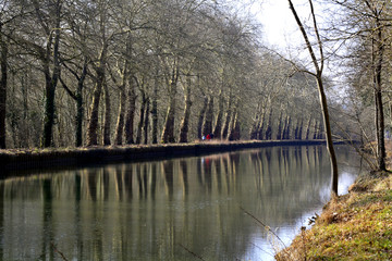 Fototapeta na wymiar Promenade au bord du canal