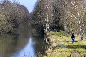 Promenade d'hiver au bord de l'eau