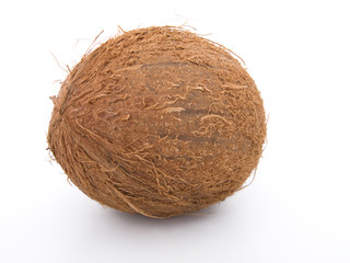 Coconut on a white background