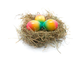 colored Easter eggs in the nest isolated