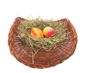 colored Easter eggs in the nest isolated