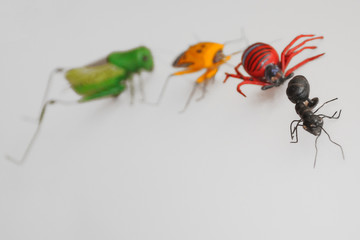 Insektenreihe im Bogen