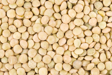 Green Lentils Closeup