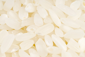 Fototapeta na wymiar Short Grain Rice Closeup