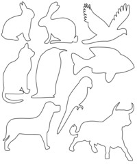 Neun Tiersilhouetten in weiss mit schwarzer Umrandung