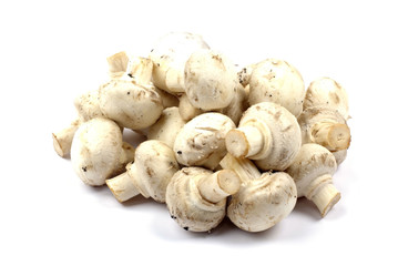 Heap of edible mushrooms isolated on white background with shado